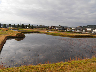 安田城