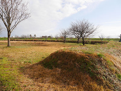 安田城