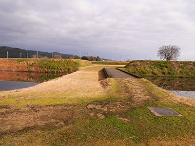 安田城