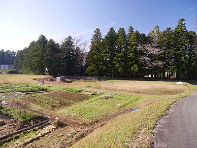 井波城