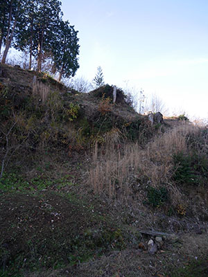 上見城