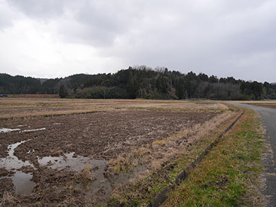 中村城