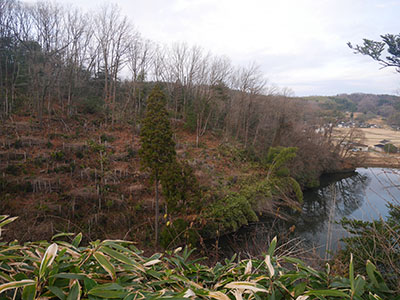 中村城